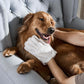 🔥Het rea – 50 % RABATT! 🔥 Hundvåtservetter i handskformat – deodoriserande, skonsamma & perfekta för tassar, päls & ansikte (6 st) 🐶