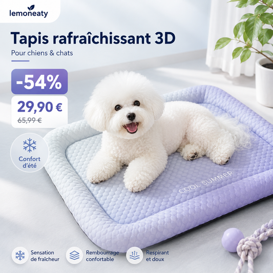 ❄️ Coussin gel respirant 3D pour chien & chat – Sieste au frais, techno rafraîchissante, idéale pour l’été 🐶🐱💧