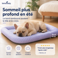 ❄️ Coussin gel respirant 3D pour chien & chat – Sieste au frais, techno rafraîchissante, idéale pour l’été 🐶🐱💧