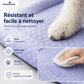 ❄️ Coussin gel respirant 3D pour chien & chat – Sieste au frais, techno rafraîchissante, idéale pour l’été 🐶🐱💧