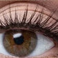 🌿👁️ Cils auto-adhésifs hypoallergéniques – Poids plume, bande transparente qui ne pique pas, idéal pour les yeux sensibles et les porteuses de lentilles, le confort qu’on oublie sur la paupière 🍃🕊️