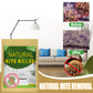 🌿🛏️ Sachet anti-acariens 100 % naturel – Protection douce à base de plantes, sans produits chimiques, pour une literie saine et un sommeil apaisé pour toute la famille 💚😴
