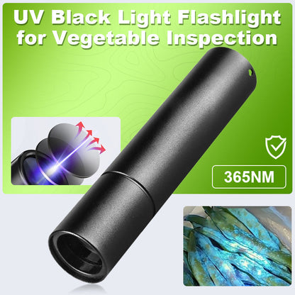 🔦 Promotion : 50 % de réduction ! 🌿 Lampe UV Aliments - Détecte Résidus et Contaminations 🍎📦