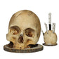 🖤💀 Range-couteaux crâne – Allie fonctionnalité et esthétique gothique, maintien sûr des lames, objet de conversation assuré 🕸️✨