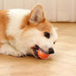 🎁🐶 Balle automatique intelligente pour chien – Incassable, se déplace toute seule, le compagnon anti-ennui qui fait bouger et jouer votre chien, même en votre absence 🦴✨