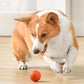 🎁🐶 Balle automatique intelligente pour chien – Incassable, se déplace toute seule, le compagnon anti-ennui qui fait bouger et jouer votre chien, même en votre absence 🦴✨