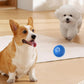🎁🐶 Balle automatique intelligente pour chien – Incassable, se déplace toute seule, le compagnon anti-ennui qui fait bouger et jouer votre chien, même en votre absence 🦴✨