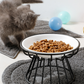 50 % RABATT! 🥣 Upphöjd keramisk kattskål med järnstativ – främjar hälsosam hållning, halksäker & perfekt för torr- & våtfoder 🐈