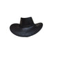 🌞🤠 Chapeau western grande bordure – Protection solaire, taille unique ajustable, look cowboy chic pour homme et femme, indispensable des festivals 🎵🏖️
