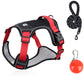 💐60% DE RÉDUCTION ! Harnais anti-traction avec laisse LED – Sécurité maximale pour vos promenades nocturnes 🐕✨【Offre Limitée】