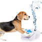 Drickfontän för hundar – tassaktiverad 🐾 Färskt, filtrerat vatten direkt när din hund trampar på pedalen 💧🐶