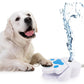 Drickfontän för hundar – tassaktiverad 🐾 Färskt, filtrerat vatten direkt när din hund trampar på pedalen 💧🐶