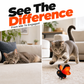 🏠🐈 Papillon intelligent anti-ennui – Activé par le mouvement, vole comme un vrai, le compagnon parfait pour occuper votre félin pendant votre absence ⏰❤️