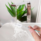 Outil de Nettoyage de Drain de Toit Ouvrant Auto – Brosse Flexible pour Tuyaux