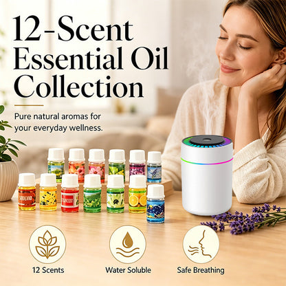 🌿🕯️ Lot de 12 huiles essentielles hydrosolubles – Formule sans résidu, senteurs variées, utilisation polyvalente pour diffuseur, bain, ménage et DIY, transformez votre intérieur en un spa sensoriel sans vous ruiner 🛁🧹