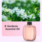 🌬️🌸 -50% ! 🏡Diffuseur d'Aromathérapie Automatique – Silencieux, Diffusion Régulière & Ambiance Parfumée.