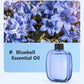 🌬️🌸 -50% ! 🏡Diffuseur d'Aromathérapie Automatique – Silencieux, Diffusion Régulière & Ambiance Parfumée.