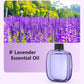🌬️🌸 -50% ! 🏡Diffuseur d'Aromathérapie Automatique – Silencieux, Diffusion Régulière & Ambiance Parfumée.