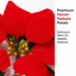 🕊️🎄 Guirlande de Noël florale – Poinsettias lumineux, ambiance chaleureuse, habillez votre intérieur de tradition et de douceur, pour des fêtes inoubliables en famille 🌟🏠