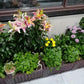 🌱🥬 Bac de plantation multifonctionnel – Auto-arrosage, PP renforcé, 30×30×20 cm, cultivez légumes et herbes fraîches sans effort, même sur un petit balcon 🏙️✨