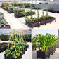 🌱🥬 Bac de plantation multifonctionnel – Auto-arrosage, PP renforcé, 30×30×20 cm, cultivez légumes et herbes fraîches sans effort, même sur un petit balcon 🏙️✨
