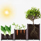 🌱🥬 Bac de plantation multifonctionnel – Auto-arrosage, PP renforcé, 30×30×20 cm, cultivez légumes et herbes fraîches sans effort, même sur un petit balcon 🏙️✨