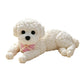 🧸🐶 Nounours anti-stress à presser – Doux et adorable, une pression et le stress s’envole, le petit compagnon réconfortant à garder au bureau, dans le sac ou sur la table de nuit 🌙💛
