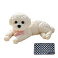 🧸🐶 Nounours anti-stress à presser – Doux et adorable, une pression et le stress s’envole, le petit compagnon réconfortant à garder au bureau, dans le sac ou sur la table de nuit 🌙💛