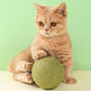 🧶 Balle Géante d'Herbe à Chat Naturelle 10 cm 🐱🌿 – Mâchable & Interactive | Anti-Stress & Nettoyante pour les Dents | 100% Sûre et Non Toxique | Idéale pour Chats de Tous Âges | −50% 💚