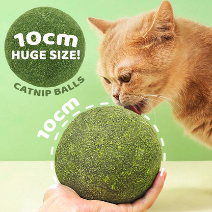 🧶 Balle Géante d'Herbe à Chat Naturelle 10 cm 🐱🌿 – Mâchable & Interactive | Anti-Stress & Nettoyante pour les Dents | 100% Sûre et Non Toxique | Idéale pour Chats de Tous Âges | −50% 💚