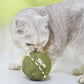 🧶 Balle Géante d'Herbe à Chat Naturelle 10 cm 🐱🌿 – Mâchable & Interactive | Anti-Stress & Nettoyante pour les Dents | 100% Sûre et Non Toxique | Idéale pour Chats de Tous Âges | −50% 💚