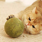 🧶 Balle Géante d'Herbe à Chat Naturelle 10 cm 🐱🌿 – Mâchable & Interactive | Anti-Stress & Nettoyante pour les Dents | 100% Sûre et Non Toxique | Idéale pour Chats de Tous Âges | −50% 💚