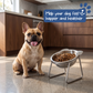 🥣🐾 Gamelle inclinée à 15° pour chien et chat – Conception orthopédique, réduit la pression sur le cou, idéale pour les animaux âgés et les races à museau plat, repas confortables et sans effort 🦴✨