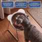 🥣🐾 Gamelle inclinée à 15° pour chien et chat – Conception orthopédique, réduit la pression sur le cou, idéale pour les animaux âgés et les races à museau plat, repas confortables et sans effort 🦴✨