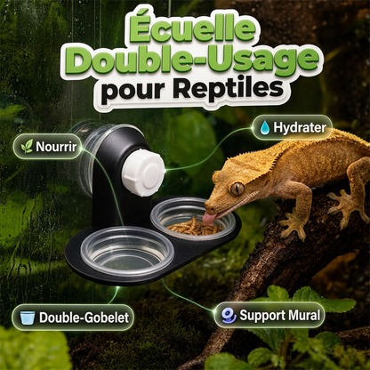 🦎🌿 Mangeoire Double Suspendue pour Reptiles – Fixation par Ventouse, Godets Amovibles et Alimentation Surélevée