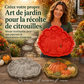 🌿🏡 Moule réutilisable en silicone pour pas japonais – Créez vos propres allées de jardin en toute simplicité, idéal pour le DIY, le béton et la résine 🌱