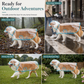 Imperméable transparent pour chien avec capuche – Du XS au 8XL