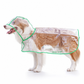 Imperméable transparent pour chien avec capuche – Du XS au 8XL