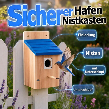 🐦✨ PROMO FLASH : 50% DE RÉDUCTION ! Nichoir en Bois Massif Résistant aux Intempéries – Toit Incliné Anti-Pluie & Protection Antiprédateurs for un Refuge Douillet et Sûr pour les Oiseaux du Jardin ✨