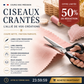 ✂️ PROMO FLASH : 50% DE RÉDUCTION ! Ciseaux Zig-Zag en Acier Inoxydable – Lames Dentelées Anti-Effilochage & Poignée Ergonomique for Coupe Décorative Tissu, Papier et Cuir 🧵
